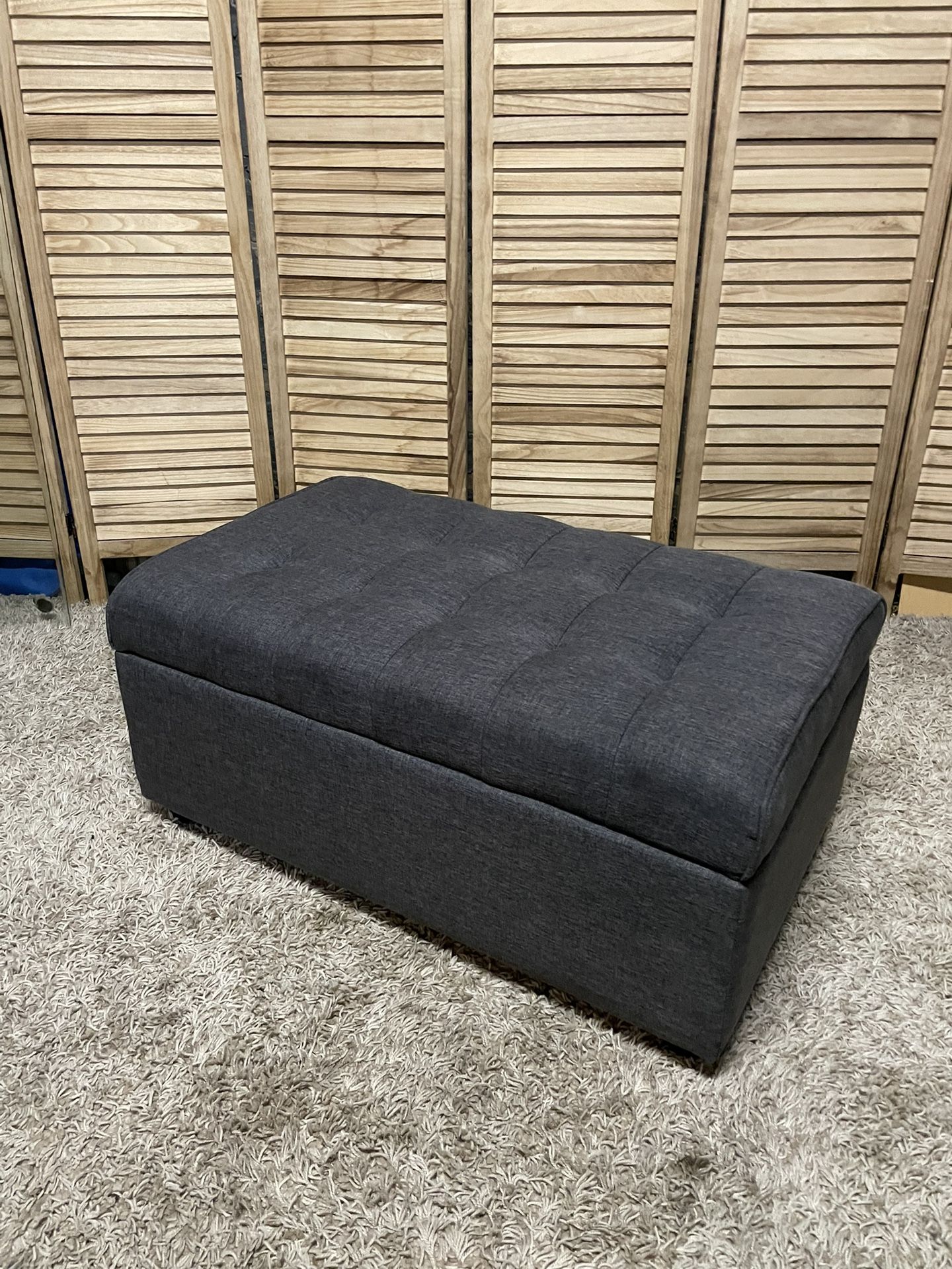 Storage Trunk