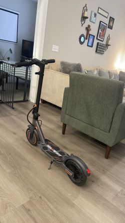 Adult scooter