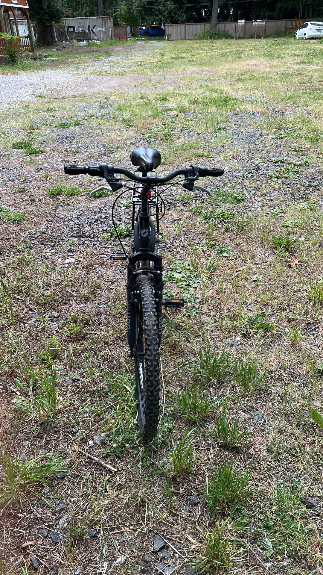 Bikes Adult