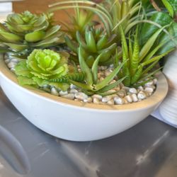 Fake Plants