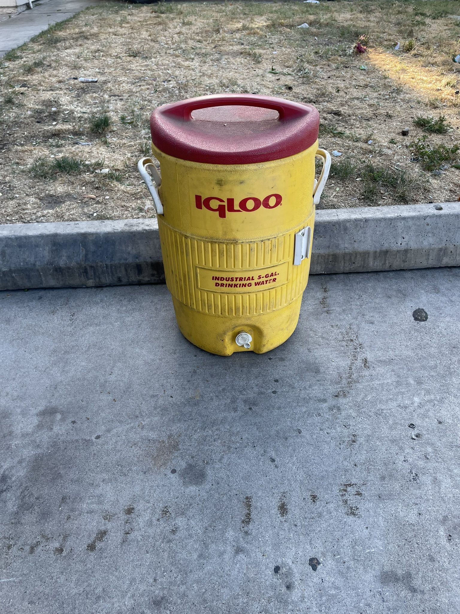 Igloo Beverage Coolers (5 Gallon, And One Bigger)