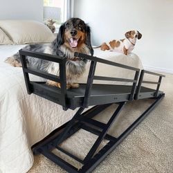 DOG RAMP