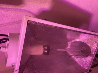 Grow Lights Galore