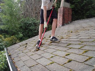Roof Cleaning 