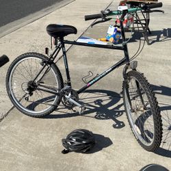 Bianchi Bicycle