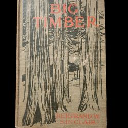 Big Timber - A Story Of The Northwest by Bertrand W. Sinclair 1916 no DJ 1st Ed.
