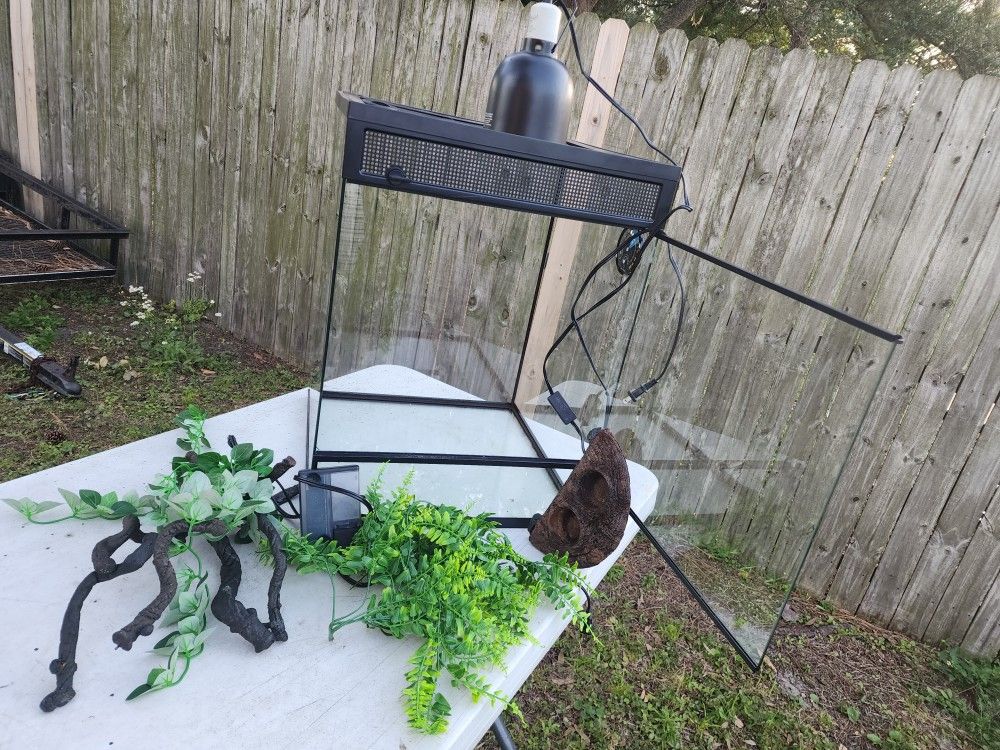 Terrarium & Misc Interior Decor