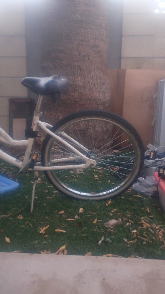 Single Speed Beach Cruiser