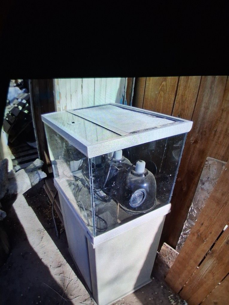 Reptile Tank With Heating Lights And Rock