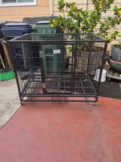 Xl dog kennel