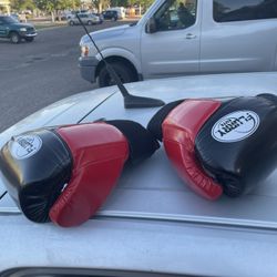 Boxing Gloves 