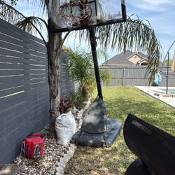 Basketball Hoop 