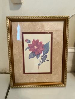 Beautiful Framed Wall Art Bundle - Tropical & Botanical Theme (Set of 4)/Título: Juego de 4 Cuadros Decorativos - Estilo Tropical y Botánico