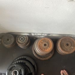 Weights plates