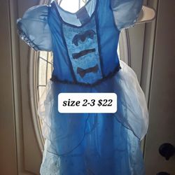 Disney Store Princess Dresses 👸 Different Prices