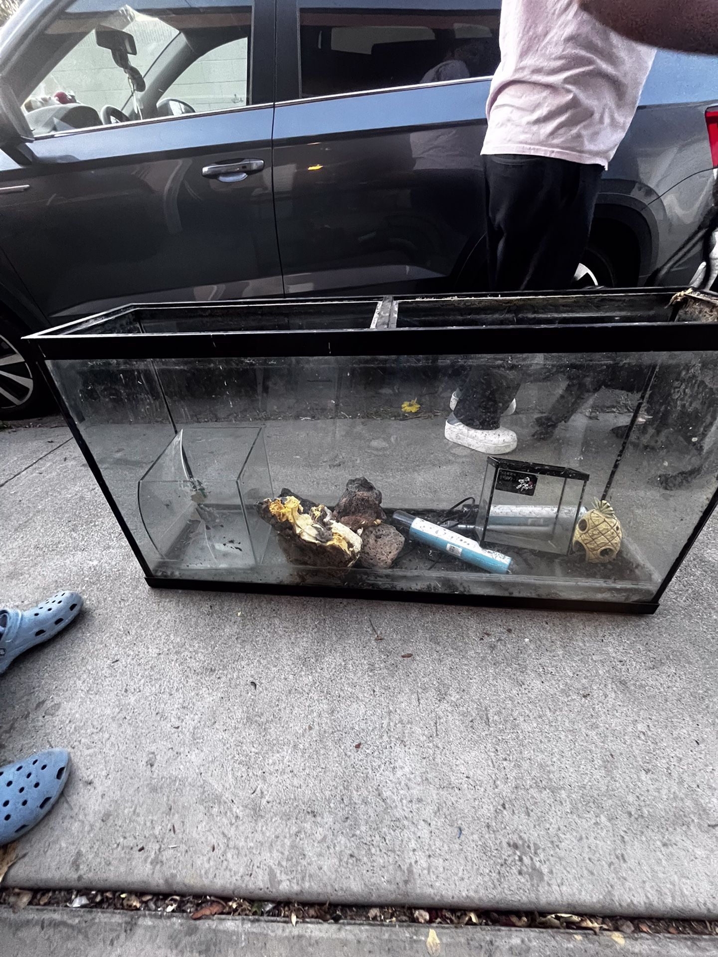 6ft Aquarium W/ Accessories