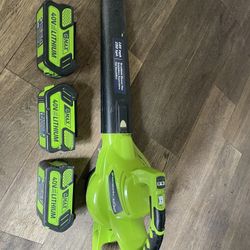 GreenWorks Blower with 3 Batteries-Works great