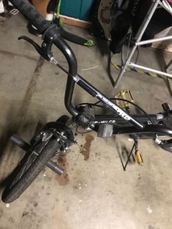 Mongoose brawler