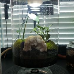 Making And Building Custom Terratiums