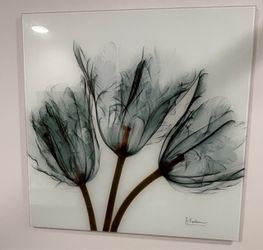 Albert Koetsier X-Ray Tulips Glass Wall Art. ** Size: 23.5 inch x 23.5 inch**