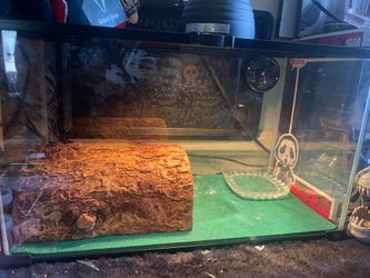 Reptile cage