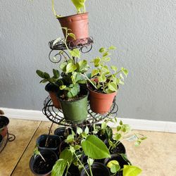 Plans For Sale 5 Each 