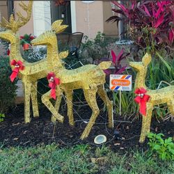 Christmas Outdoor Decorations 