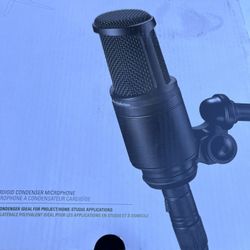 Cardioid Mic