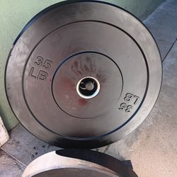 Bumper Weight Plates 