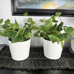 2 - Artificial Plants in Pots