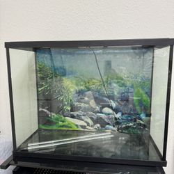 29 gallon tank