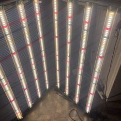 Plant Grow Tint W/ Lights