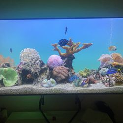 65” TV For sale Plus More 