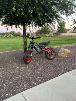 Ghost cat f3x pro ebike