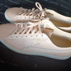 Pumas