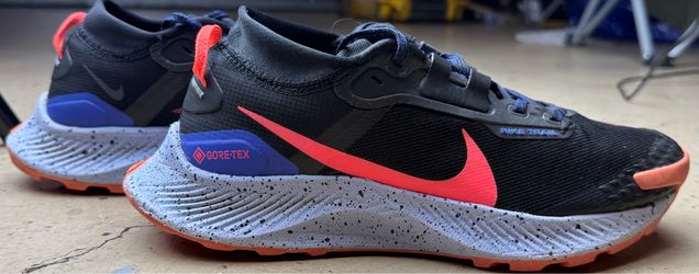 Nike Pegasus Trail Gore-Tex W8