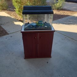 10 Gallon Fish Tank And Stand