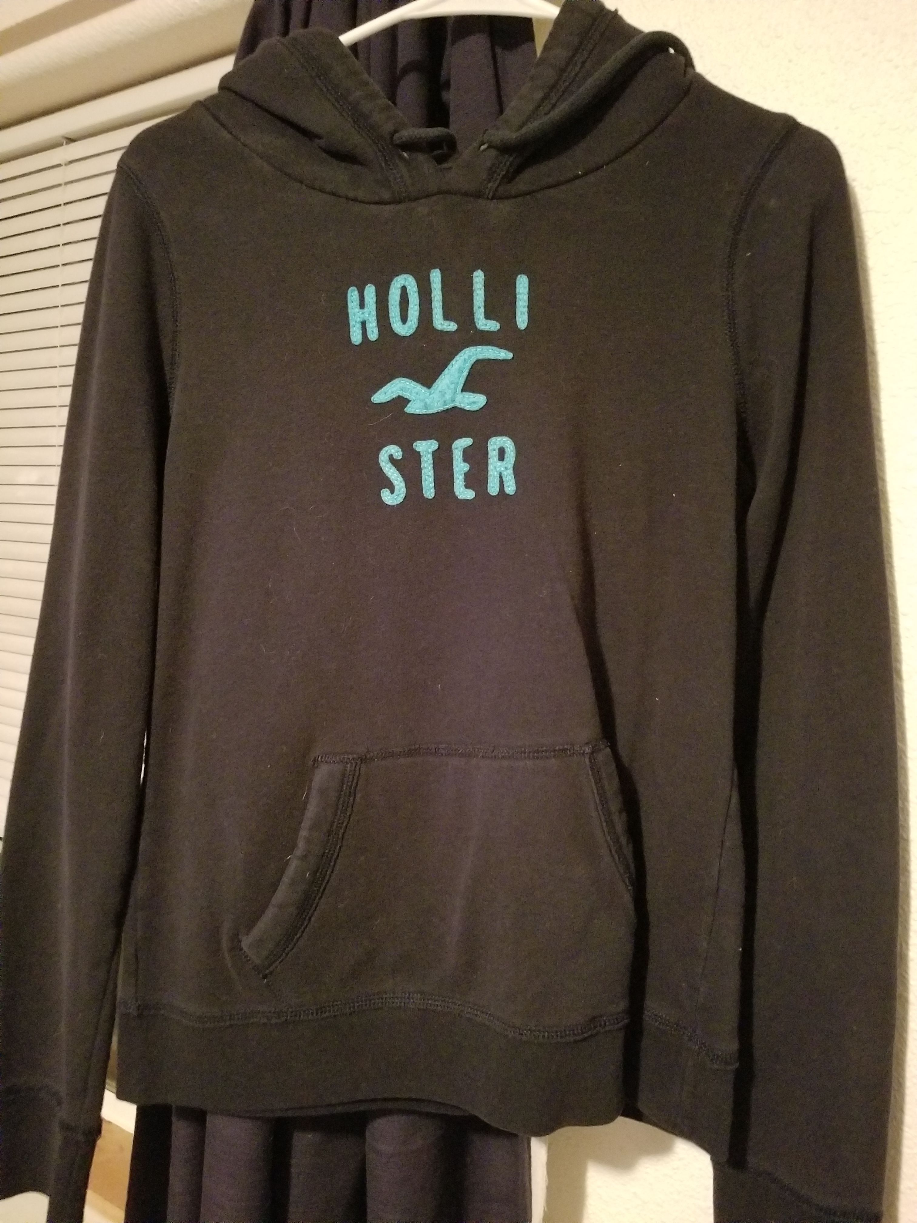 Hollister size L hoodie