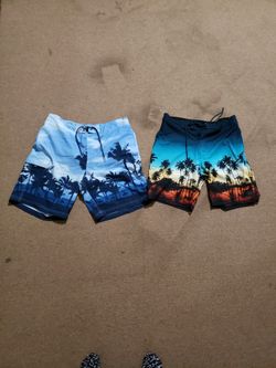 Mens Swimming Trunks