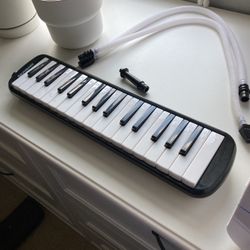 Melodica (Melodica for Just $20 – Steal of the Year!)