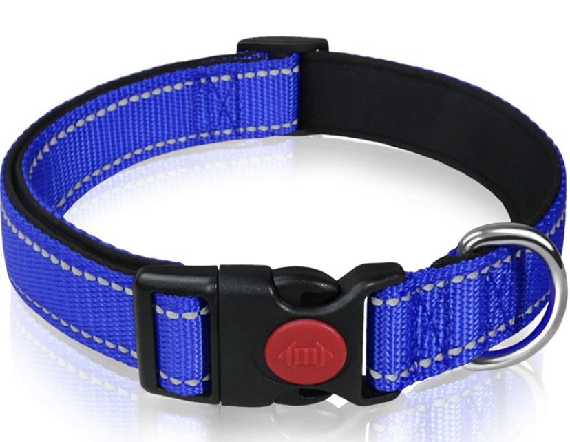 Taglory Reflective Dog Collar with Safety Locking Buckle, Adjustable Nylon Pet Collars for Small Dog