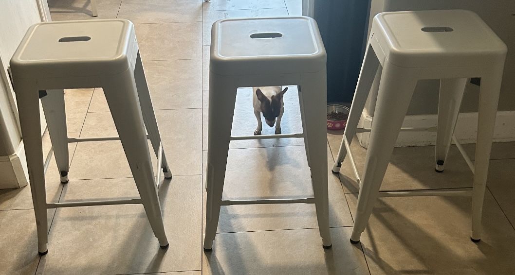 Metal Bar Stools