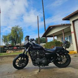 2018 Harley Iron 1200