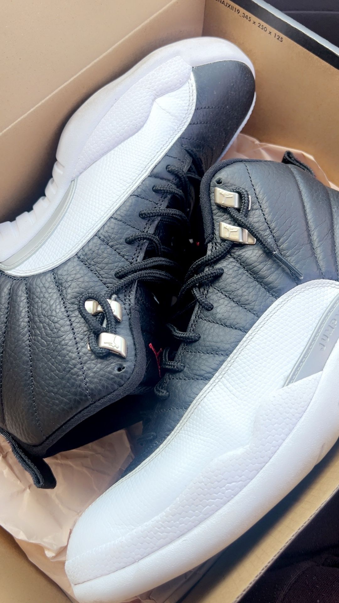 Jordan 12 Retro