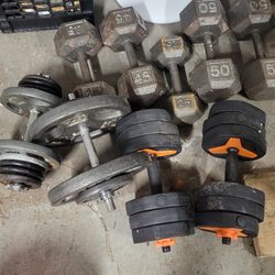 Weights 