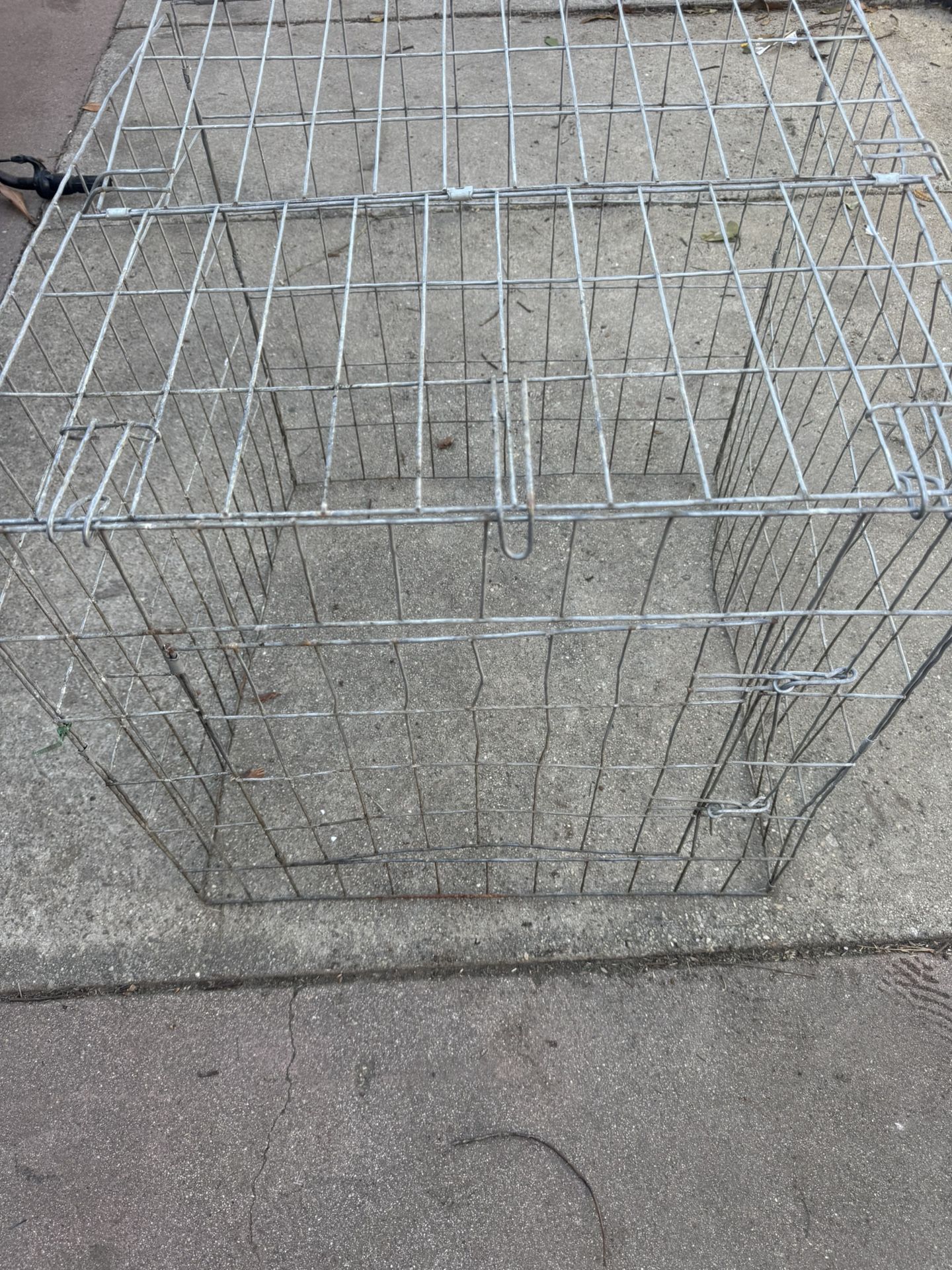 1 Stag cage 24x24