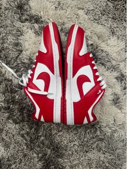 Nike dunks size 9.5