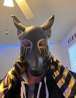 Anubus head piece costume
