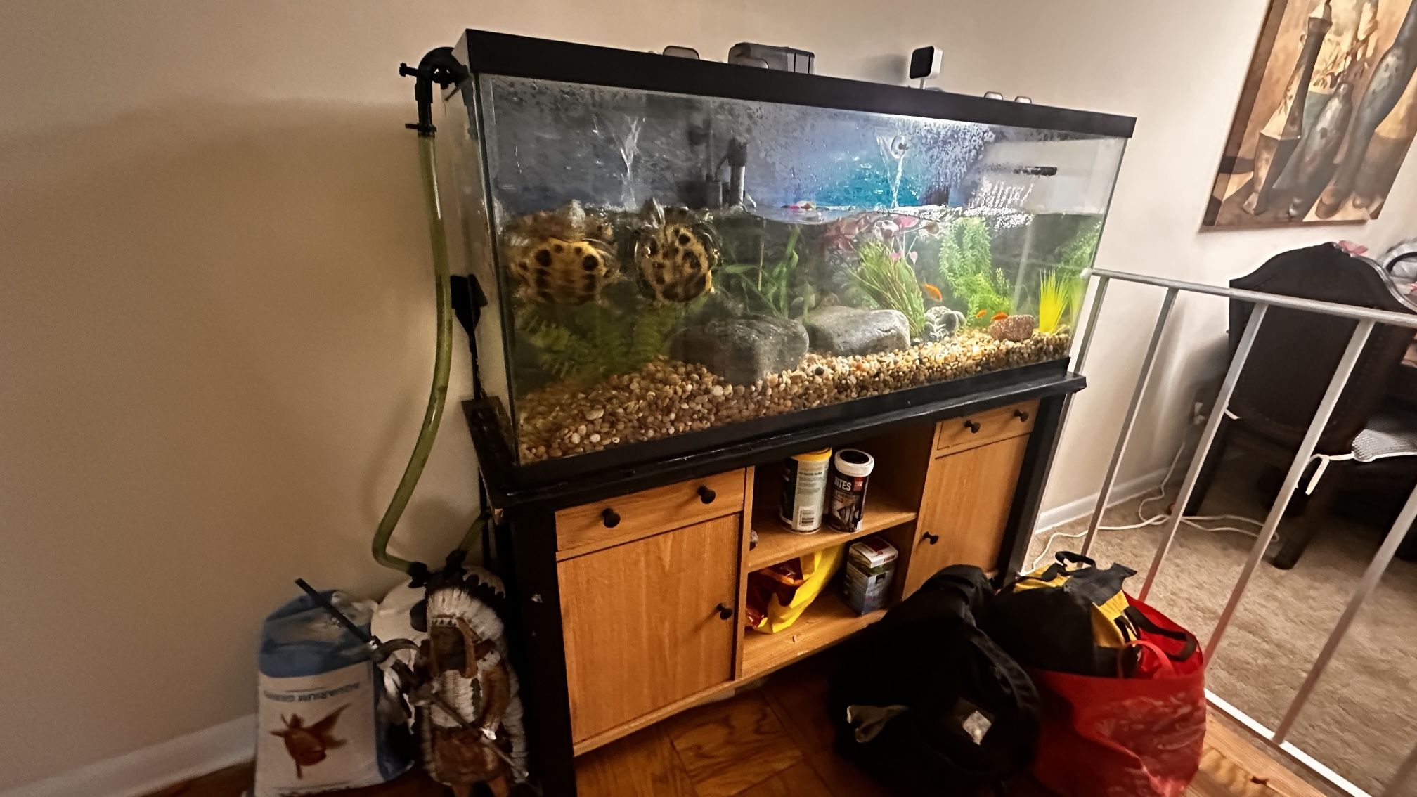 Fish tank