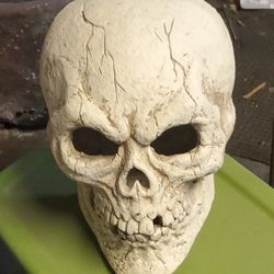 Good Size Skull